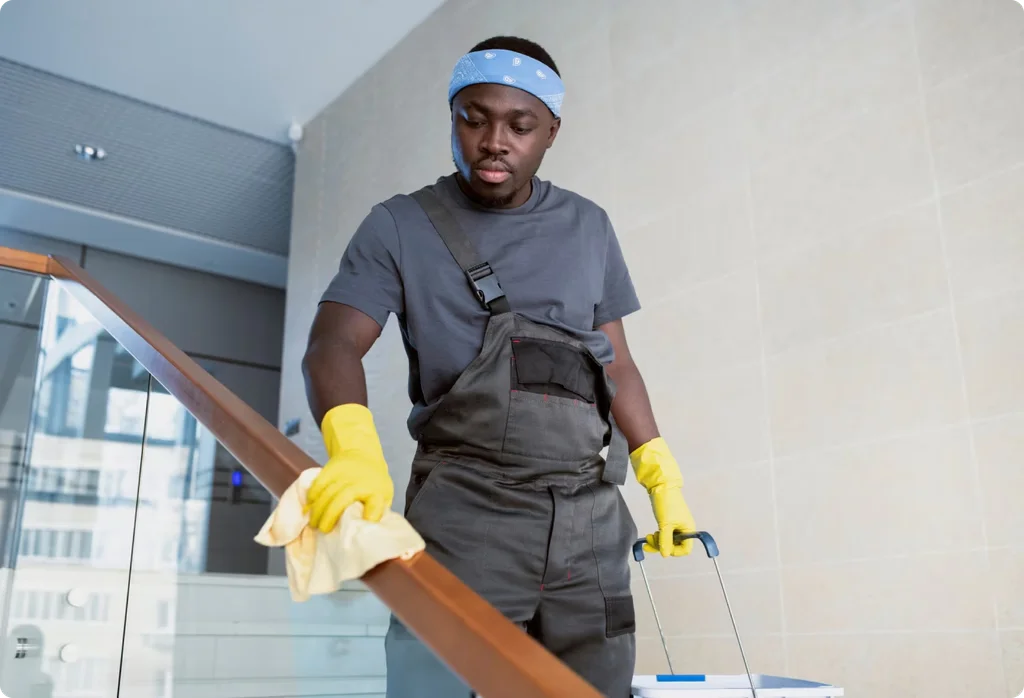 Upholstery Cleaning, Mesa AZ