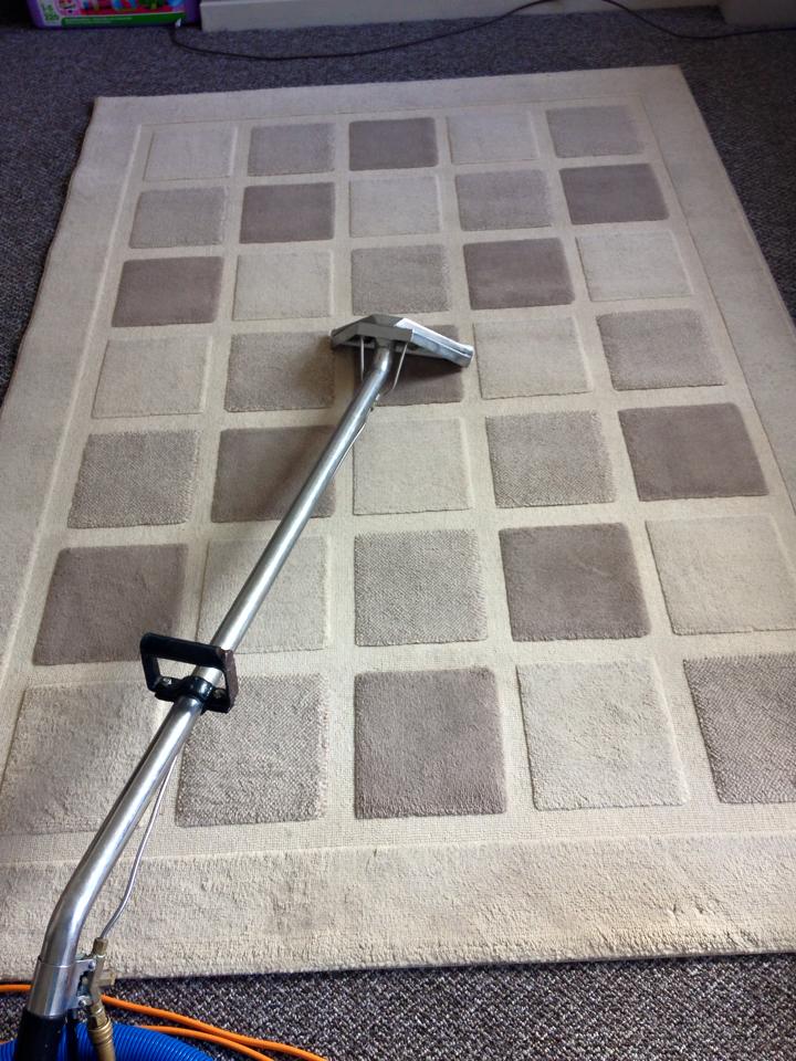 area rug cleaning tool