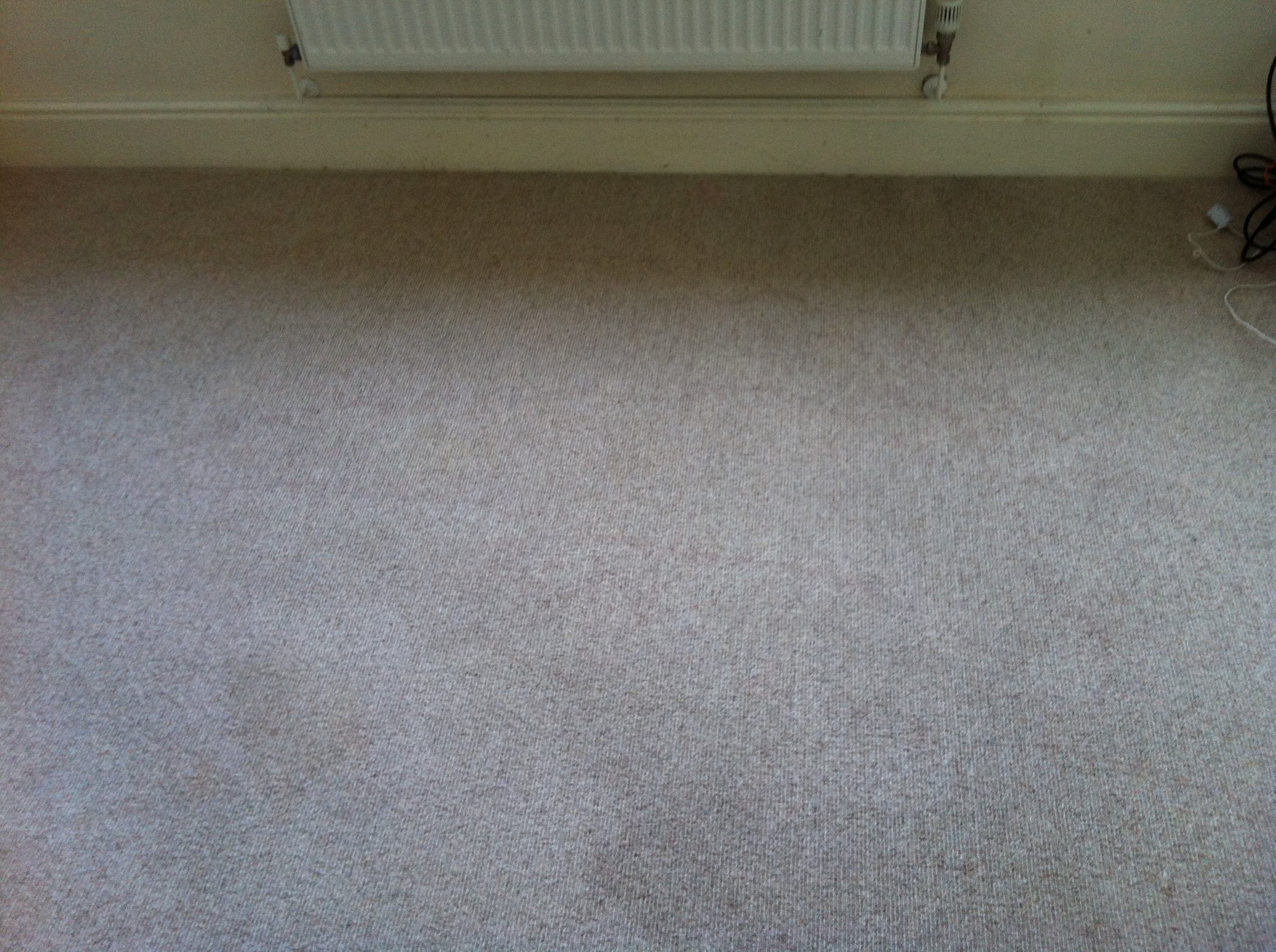 Carpet After Black Mold and Cleaning
