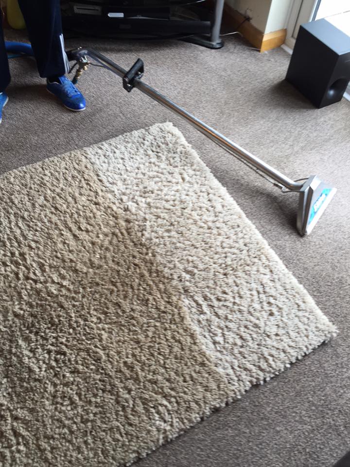 Carpet and are Rug Care