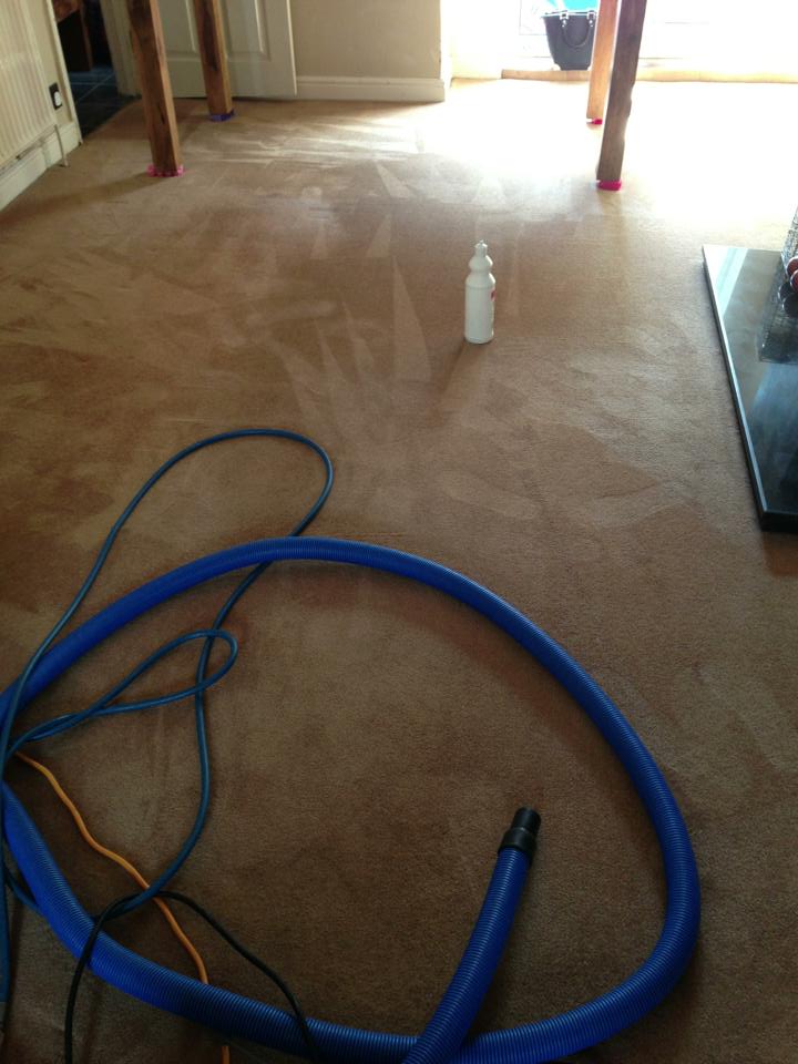 Carpet Cleaning After Stain Removal