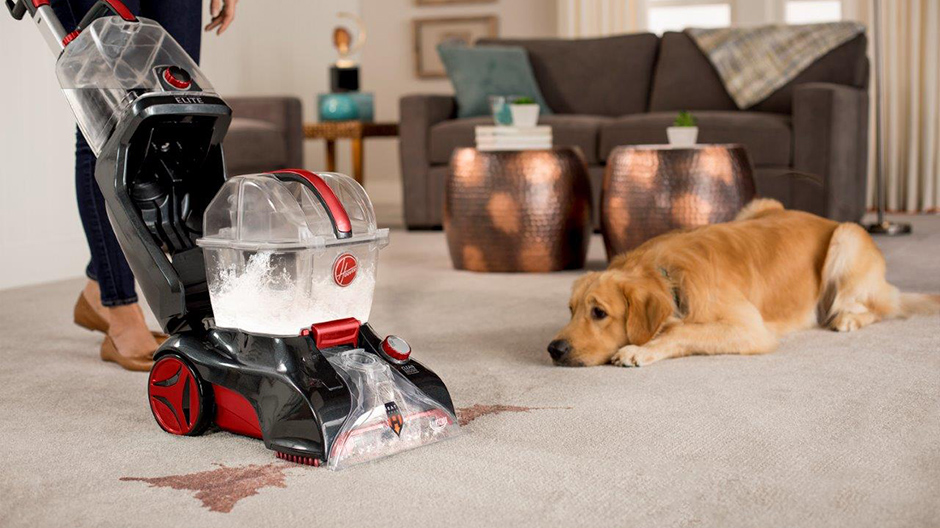 Carpet Cleaner for Dog Urine