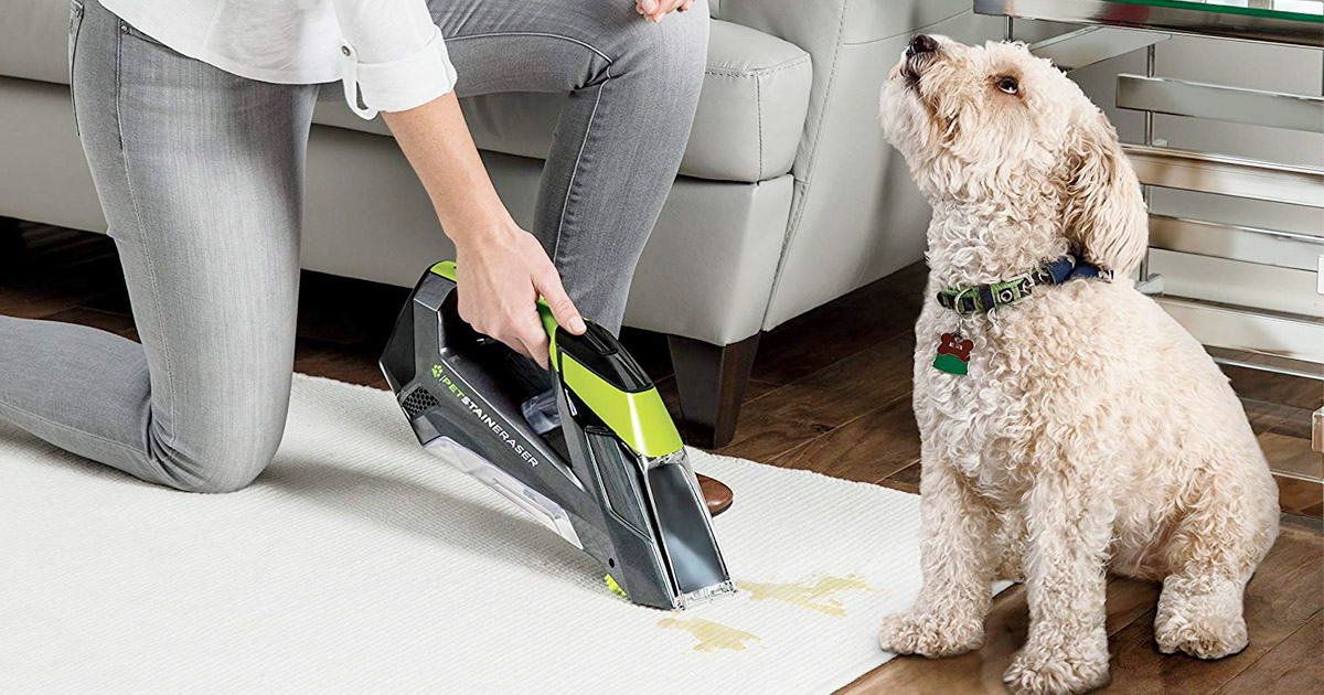Carpet Cleaner for Pet 